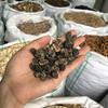 余甘子 当季新货 农家生晒中药材 商品缩略图2