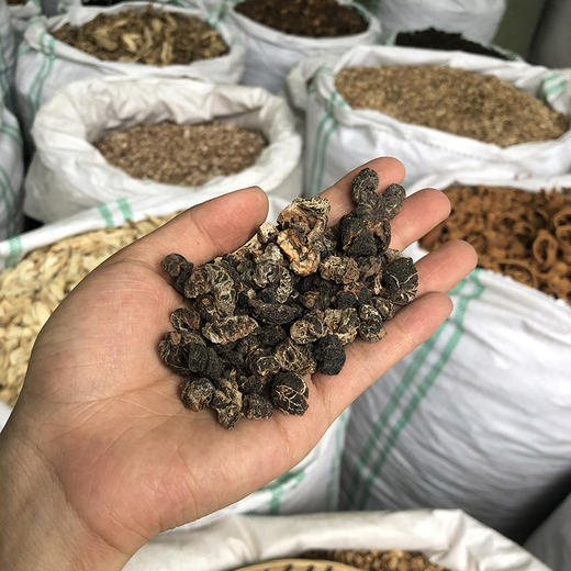 余甘子 当季新货 农家生晒中药材 商品图2