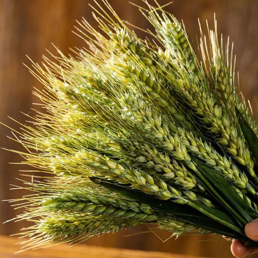 小满之后，新麦就开始灌浆变成翡翠般可爱的青麦仁，年年如此，从不失约！是每年入夏的尝新首选！吃太多精白米面可多补充一些！青麦仁保留了粗粮的高纤维，又不会坚硬难嚼，适合减脂党、控糖党用来代餐！真空包装！ 商品图2