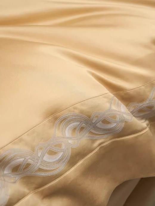 ROYALCOVER罗卡芙家纺埃及长绒棉欧式提花床品四件套（布莱曼810422332） 商品图1