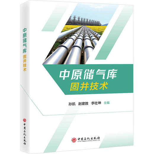 中原储气库固井技术 商品图0