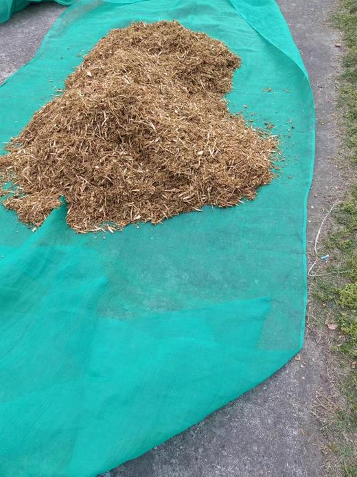 农家笋干菜500克 商品图3