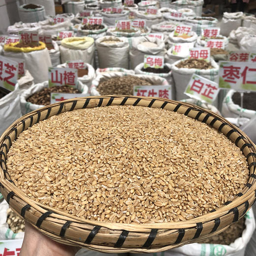 浮小麦 常用规格 小麦米 商品图2