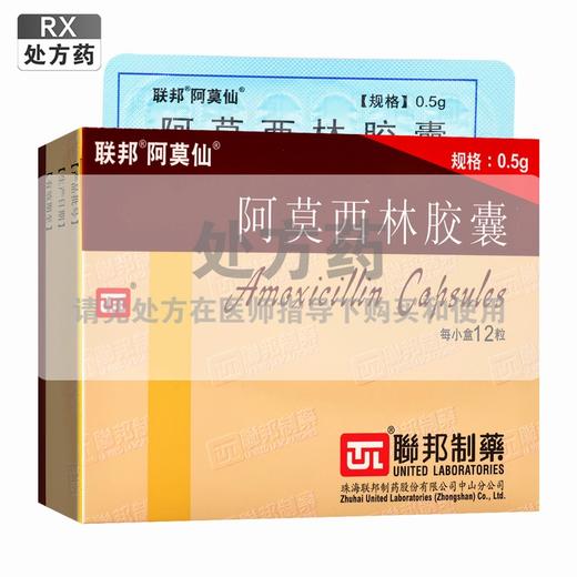 联邦,阿莫西林胶囊 【0.5g*12粒】 珠海联邦 商品图0