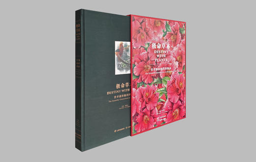 极命草木 曾孝濂和他的博物画 一花一草，均是故事；一鸟一木，皆见世界 商品图1