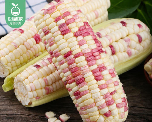 【叼鲜蔬】长泰新鲜彩糯玉米（带衣-去头尾）/1份（1.5kg±100g) 商品图5