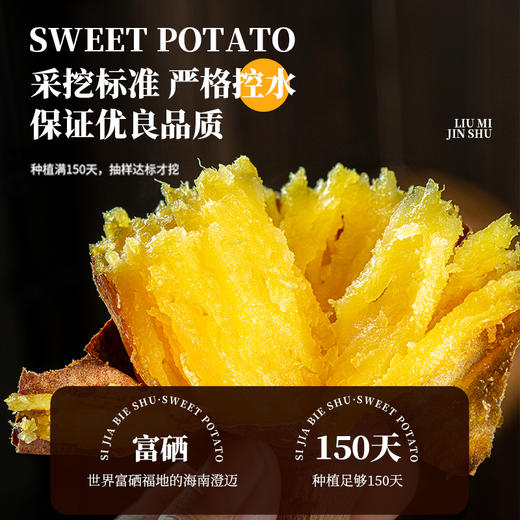 榴蜜金薯（适合烤食）【产地直发】@私家别薯 商品图2