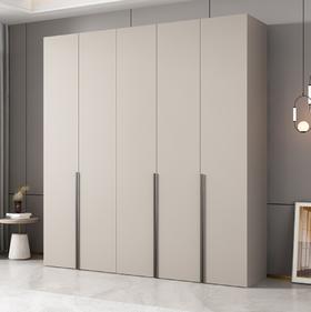 （保利）ZYS高端衣柜