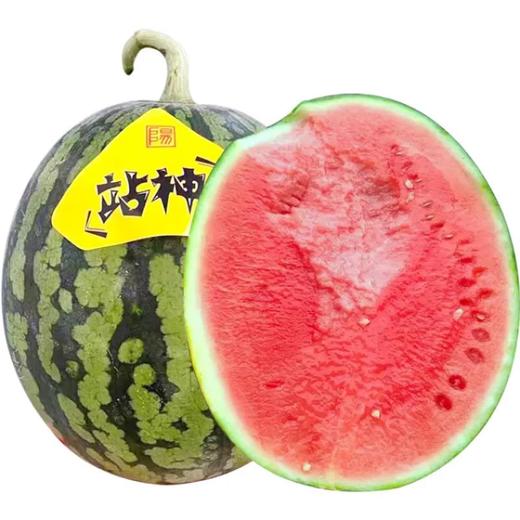 卡波甘美站神西瓜2.5-3kg/个 商品图1
