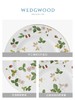【WEDGWOOD】威基伍德野草莓骨瓷欧式餐盘菜盘西餐盘餐具 商品缩略图2