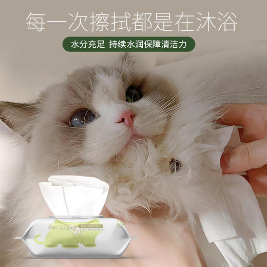 奥芬洁宠物银离子湿巾（去味去污） 商品图2