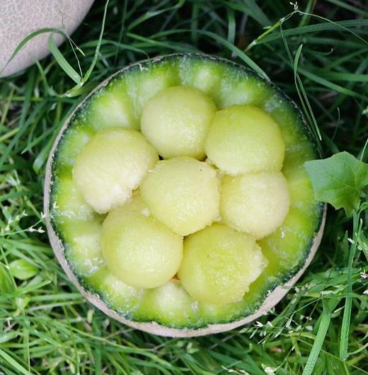 消暑蜜瓜 | 山东海阳网纹瓜 商品图4