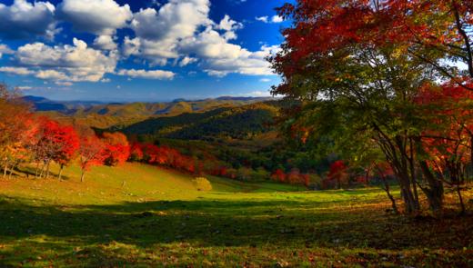 东北红叶盛宴丨四方顶子、本溪（老边沟&大石湖）、“中华枫叶大道”、科尔沁五角枫7天摄影团 商品图5