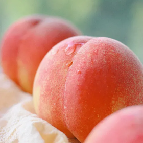 四川 大运水蜜桃（8头/箱）