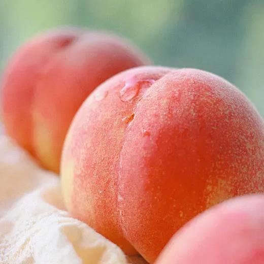 四川 大运水蜜桃（8头/箱） 商品图0