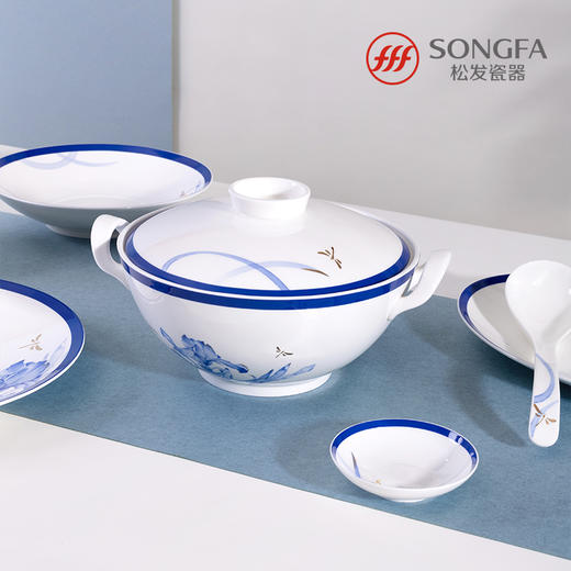 38头鸢尾芳华餐具 商品图4