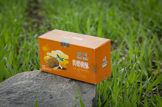 甘肃 甘南 雪域优稞 青稞桃酥小盒 微麻 90g 商品图1