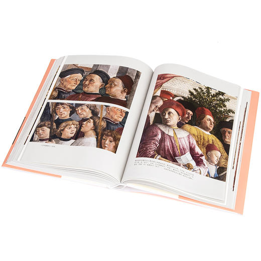 局部 陈丹青 套装3册 陌生的经验+我的大学+伟大的工匠 新版 陈丹青 美学中西艺术 理想国图书旗舰店 商品图3