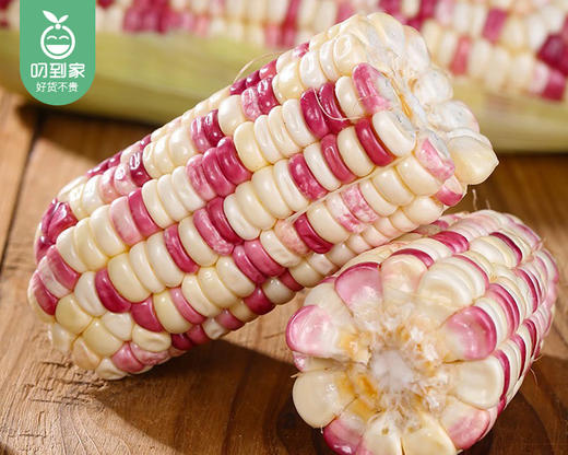 【叼鲜蔬】长泰新鲜彩糯玉米（带衣-去头尾）/1份（1.5kg±100g) 商品图3