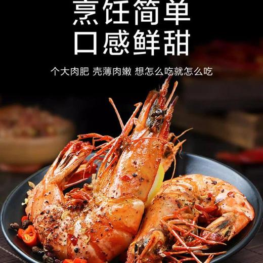 木虾约22尾/斤左右（约500G） /份 /份 商品图2