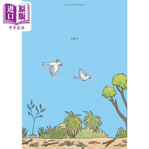 【中商原版】桥梁漫画 野外生存小考拉彩虹 Surviving the Wild Rainbow the Koala英文原版 儿童图画图像小说 动物漫画故事 商品图1