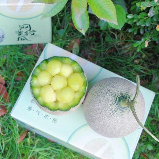 消暑蜜瓜 | 山东海阳网纹瓜 商品图9