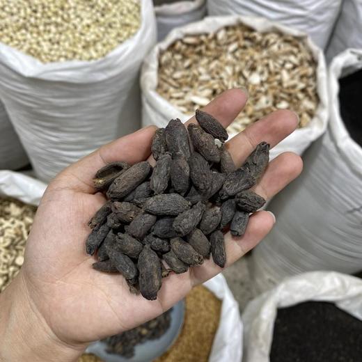 母丁香 商品图4