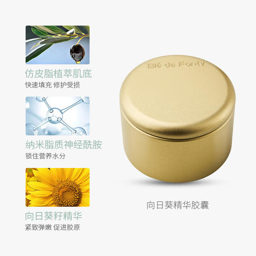 文莱进口 枫缇 立体紧致修护向日葵精华(颈部专用) 0.46ml*30粒 商品图3