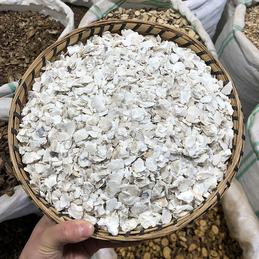 牡蛎  生牡蛎 商品图0