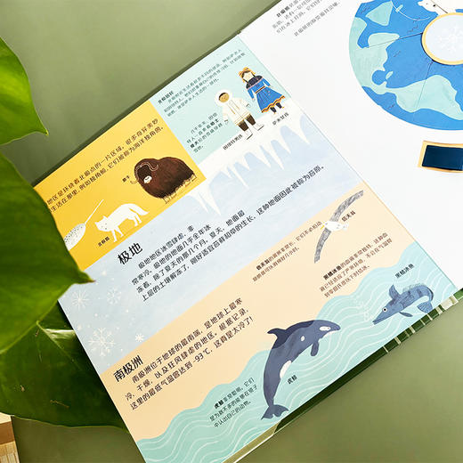 转转自然•科学探索 我们的世界 幼儿自然科学科普绘本，带你玩转世界五大栖息地 商品图6