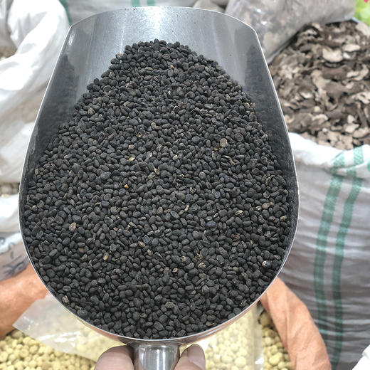 补骨脂  常用规格 破故纸 商品图3