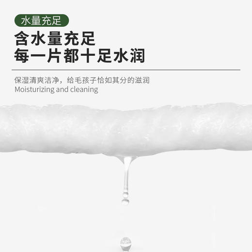 奥芬洁宠物银离子湿巾（去味去污） 商品图4