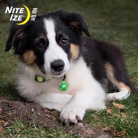 美国NiteIze奈爱宠物灯发光吊坠防水led灯夜间小型夜光遛狗灯防丢