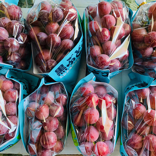 【大理•妮娜皇后葡萄】 顺丰空运到家 颜值诱人 香甜多汁 花香的清新 果香的鲜甜 奶香的醇蜜 酒香的层次 多种规格任选 中秋送礼礼盒推荐 商品图4