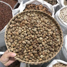 草豆蔻 草蔻颗粒 中大颗粒