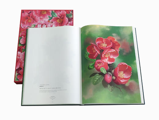 极命草木 曾孝濂和他的博物画 一花一草，均是故事；一鸟一木，皆见世界 商品图2