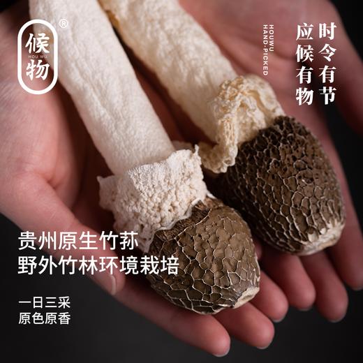 候物黑帽竹荪|来自“中国竹荪之乡”，拒绝熏硫，肉肥脆嫩爽口 商品图6