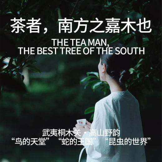 【花小主·正山小种红茶】元和堂 | 正山小种|红茶|武夷山桐木关正山 商品图3