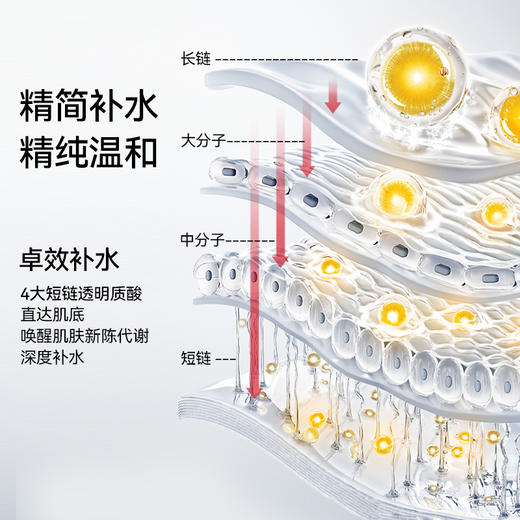 【会员专享】Dr.E.Voss德沃希 舒颜补水双子瓶|舒颜褪红精华30ml+水能弹润精华30ml 商品图7
