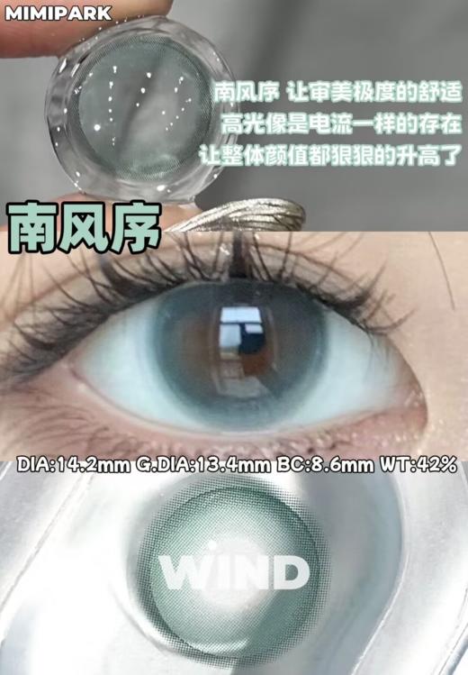 Mimipark 月抛 南风序/天鹅集 蓝/黑 14.2mm 美瞳两片装 温柔 商品图1