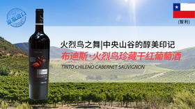 智利-布迪斯火烈鸟珍藏干红葡萄酒2019年