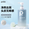⚠️【Pote柏缇植酵舒缓控油去屑洗发水系列】❗️❗️1、头发救星！SPA级养发护发，控油去屑-添加专利成分，清爽蓬松 🍃 商品缩略图0