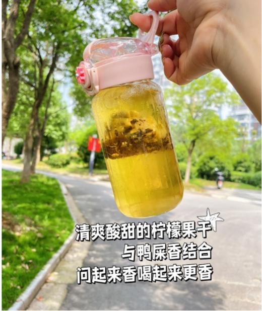 🌵【鸭屎香柠檬茶3盒】✅香气丰富，鸭屎单丛香+柠檬香🔅； 商品图1