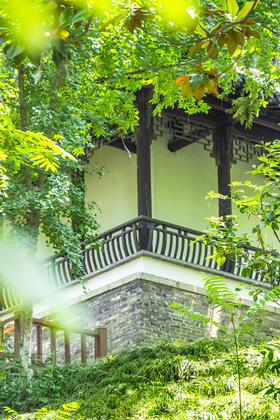 胎教真的有用吗？