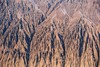 天山南北好风光——“新疆春夏”伊犁河谷深度摄影创作团 商品缩略图0