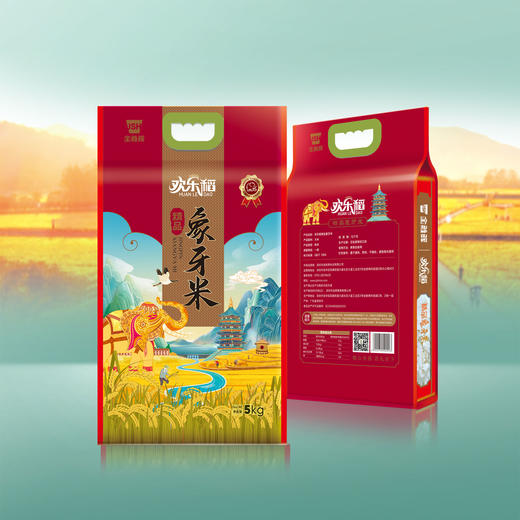 欢乐稻 精品象牙米5kg（仅限桂林五城区 其余地方不发货） 商品图1
