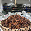 八角 大茴香  八角茴香 香气浓郁，药食同源 商品缩略图4
