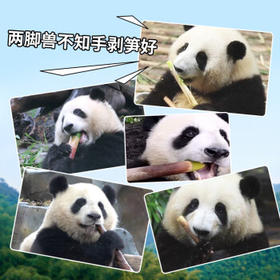 淘滋源手剥笋老汤味230g即食手撕竹笋尖小吃办公室低卡休闲零食凉菜脆笋