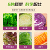 一号农场开盒即食阳光活力沙拉碗6种新鲜蔬菜免洗免切轻食代餐 商品缩略图2