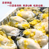 WANMEIYOUPIN完美优品乳山生蚝罐头（蒜蓉）250g/罐*8罐（固形物含量≥50%） 商品缩略图3